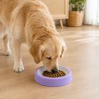 Non-Slip Slow Feeder Dog Bowl