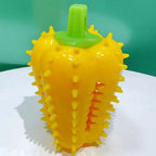 Dog Teething Chew Toy