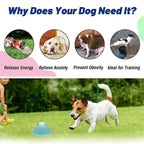Interactive Chew Toys with Hidden Treats