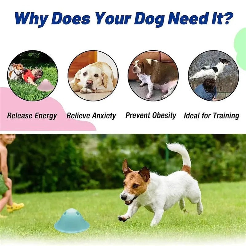 Interactive Chew Toys with Hidden Treats