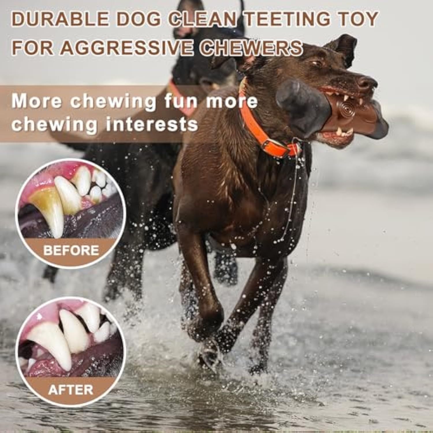 Indestructible Tough Dog Toys for Aggressive Chewers