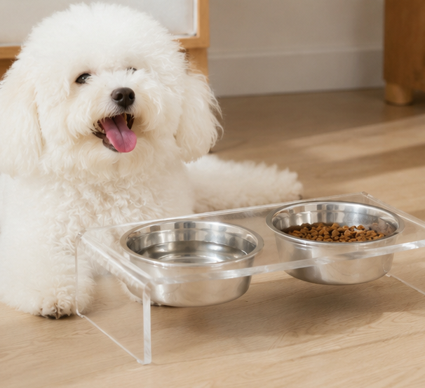 Elevated Acrylic Pet Feeding Station